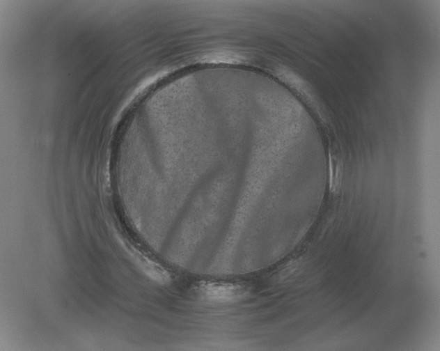 X0000082200531200702021846