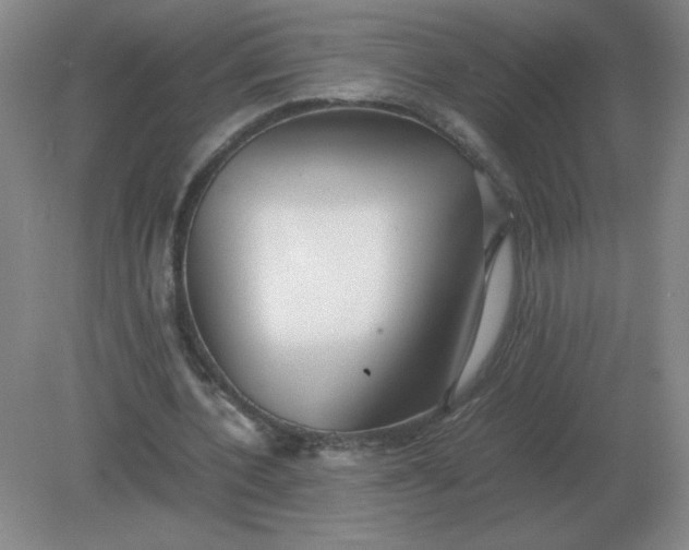 X0000082200532200702021846