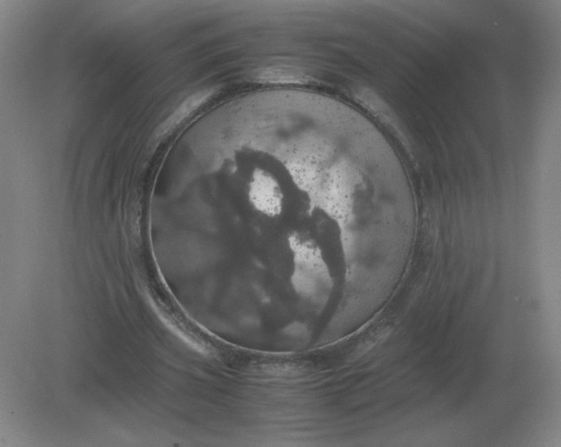 X0000082200533200702021846