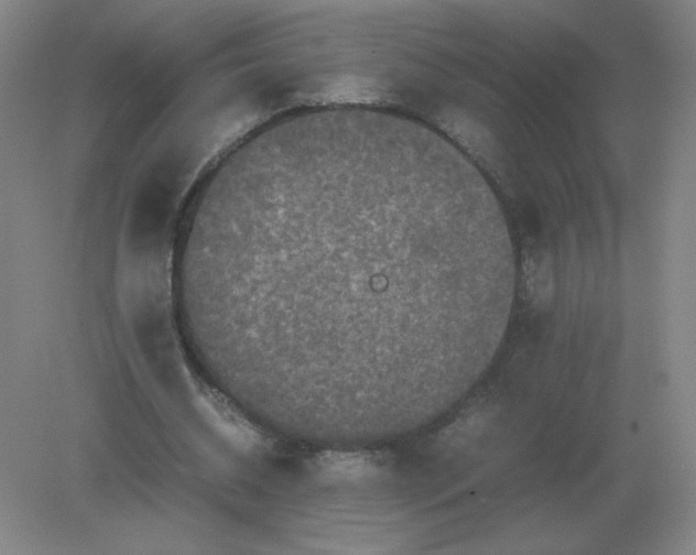 X0000082200534200702021846