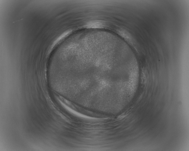 X0000082200535200702021846