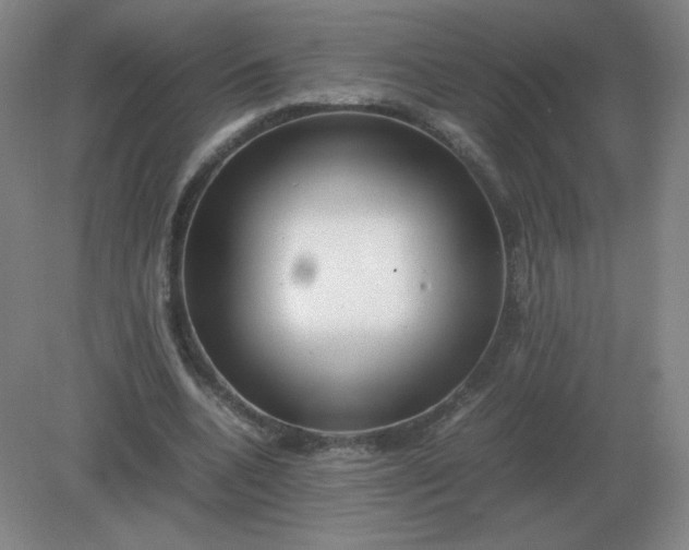 X0000082200536200702021847