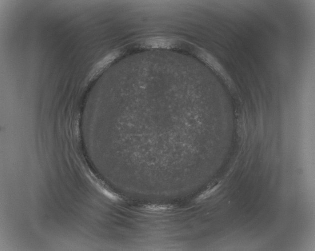 X0000082200537200702021847