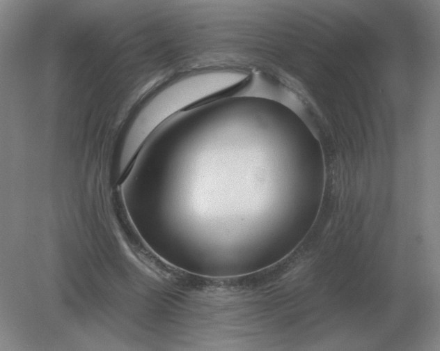 X0000082200538200702021847