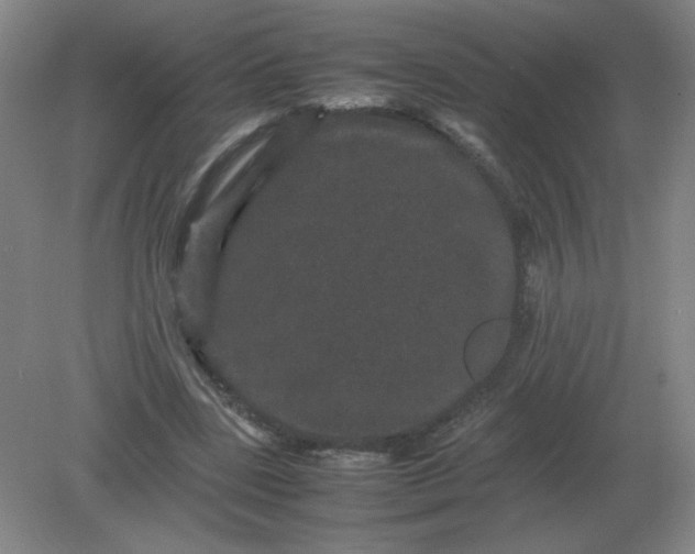 X0000082200539200702021847