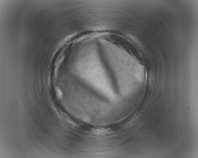 X0000082200540200702021847