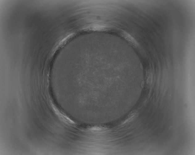 X0000082200542200702021847