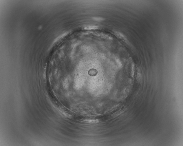 X0000082200543200702021847