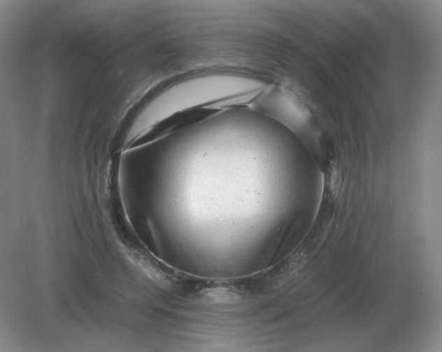 X0000082200544200702021847