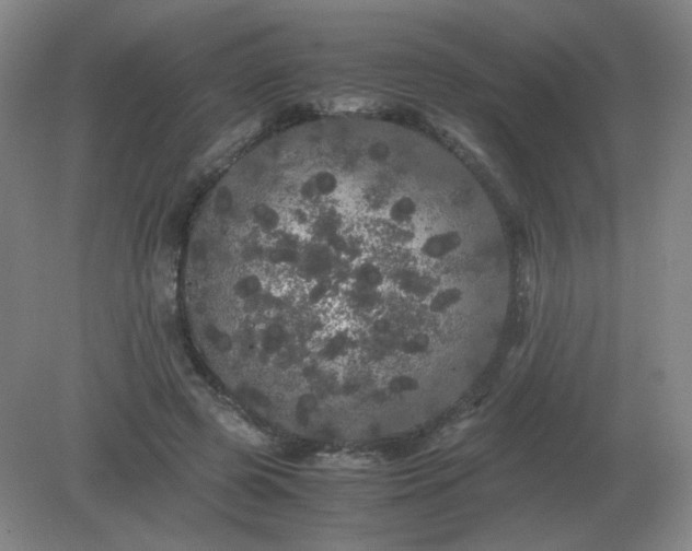 X0000082200545200702021847