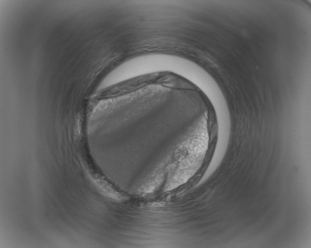 X0000082200546200702021847