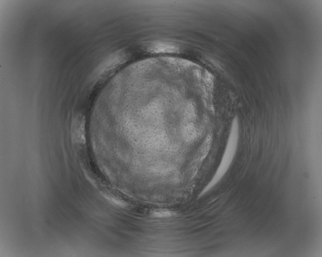 X0000082200547200702021847