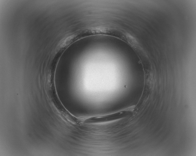 X0000082200548200702021847