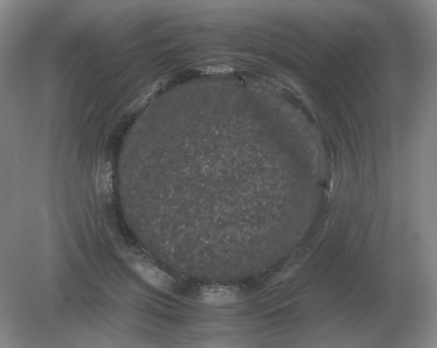 X0000082200549200702021847