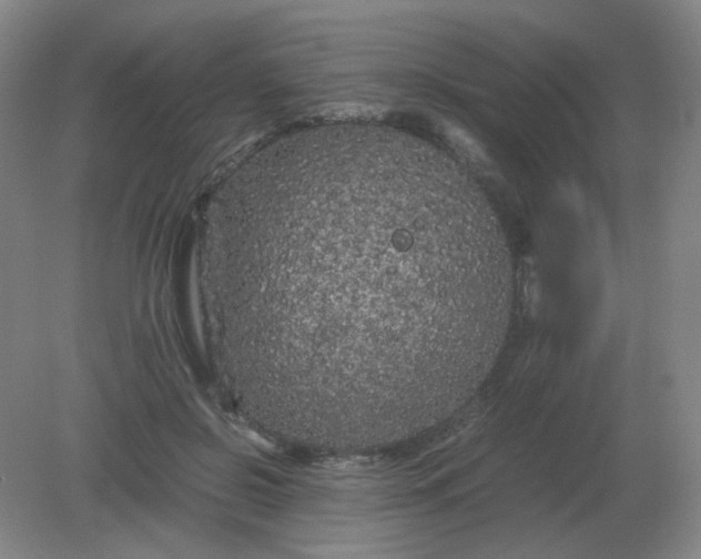 X0000082200550200702021847