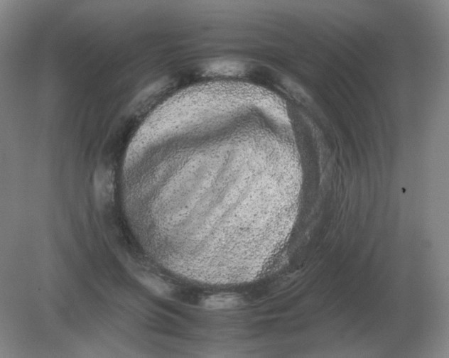 X0000082200551200702021847