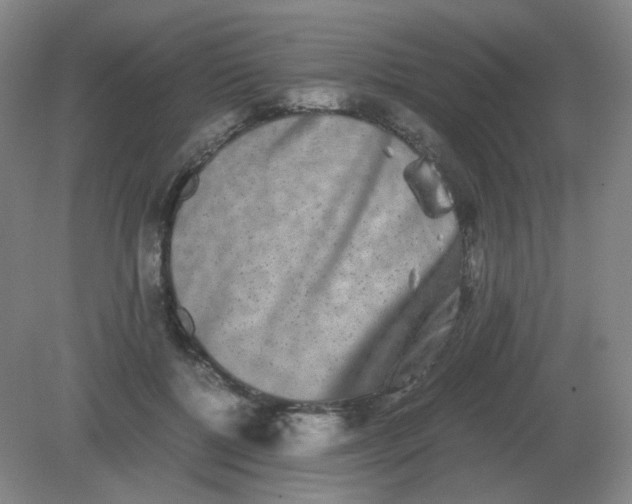 X0000082200552200702021847