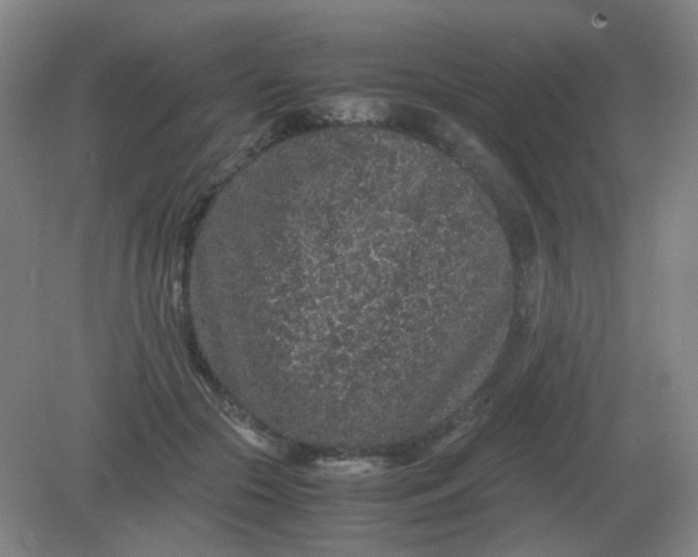 X0000082200553200702021847