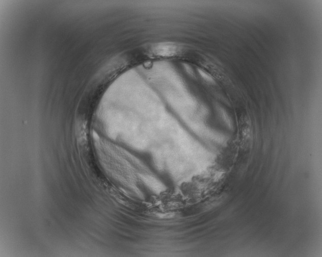 X0000082200555200702021847