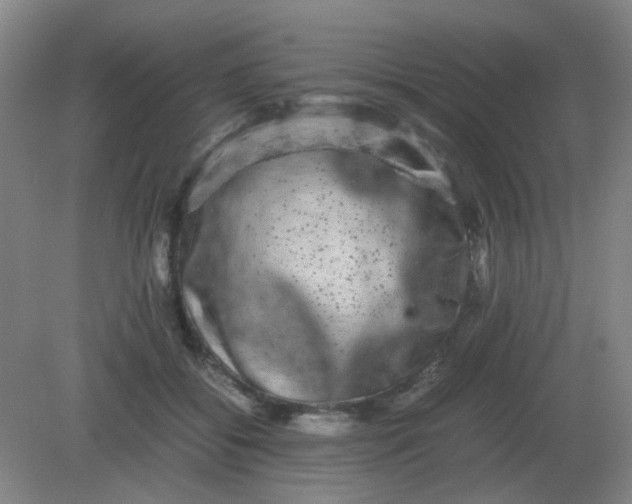 X0000082200556200702021847