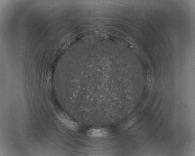 X0000082200557200702021847