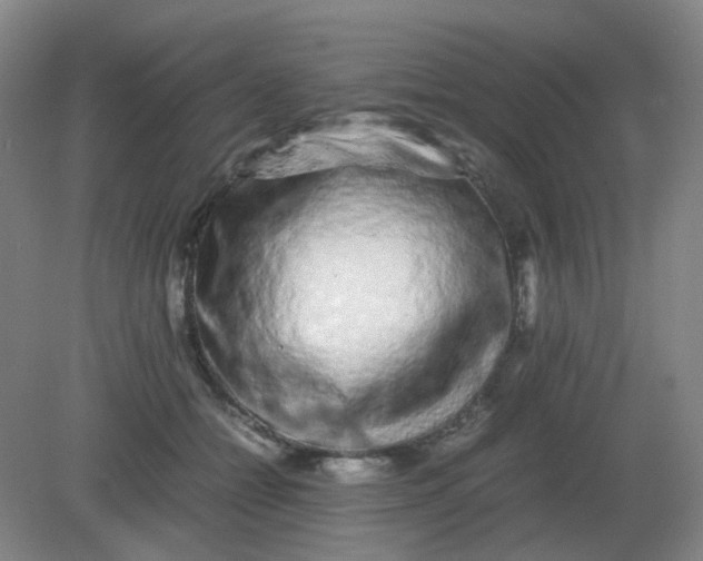 X0000082200558200702021847