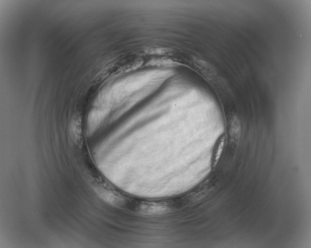 X0000082200559200702021847