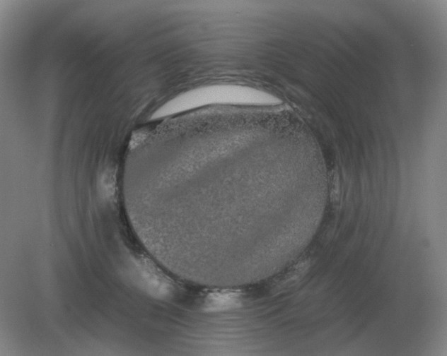 X0000082200560200702021847