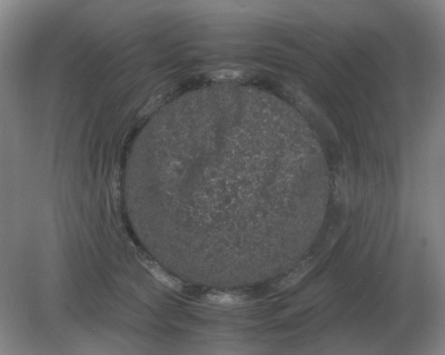 X0000082200561200702021847