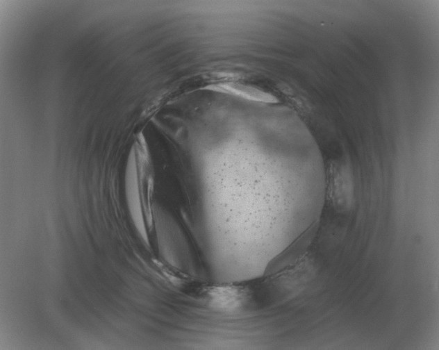 X0000082200562200702021847