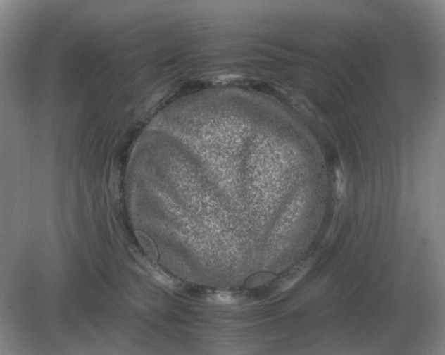 X0000082200565200702021847