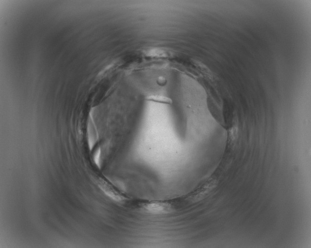 X0000082200566200702021847