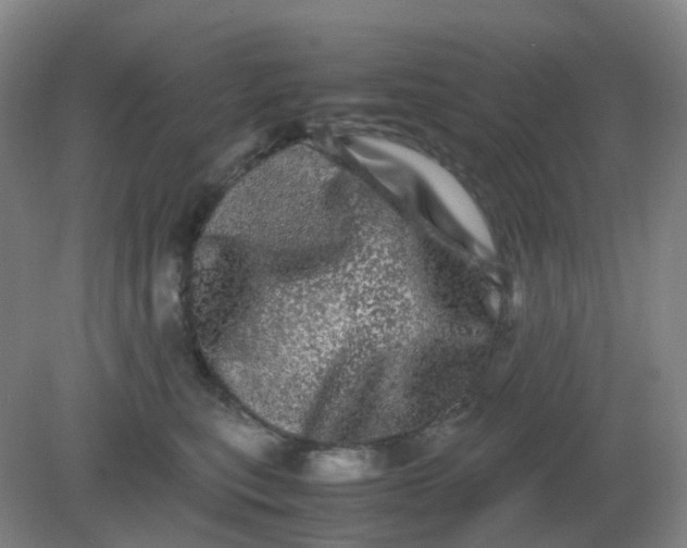 X0000082200567200702021847