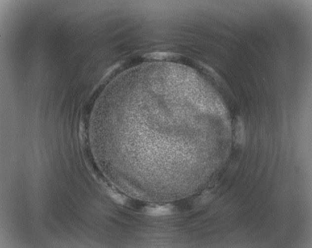 X0000082200569200702021847