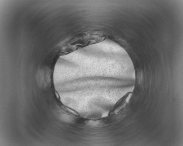 X0000082200570200702021847