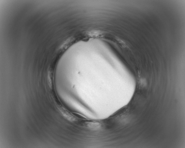 X0000082200572200702021847