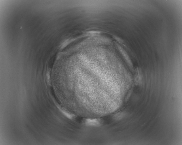 X0000082200573200702021847