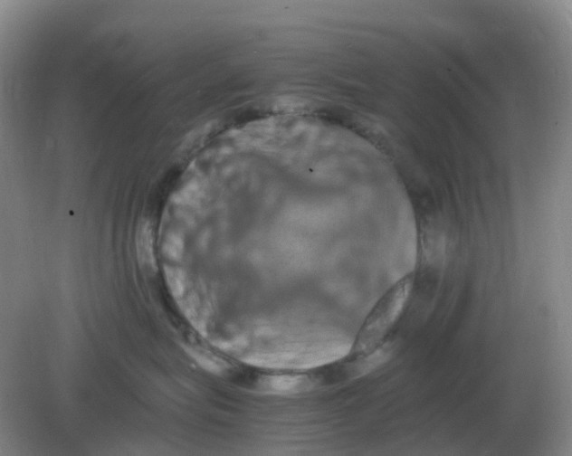 X0000082200575200702021847