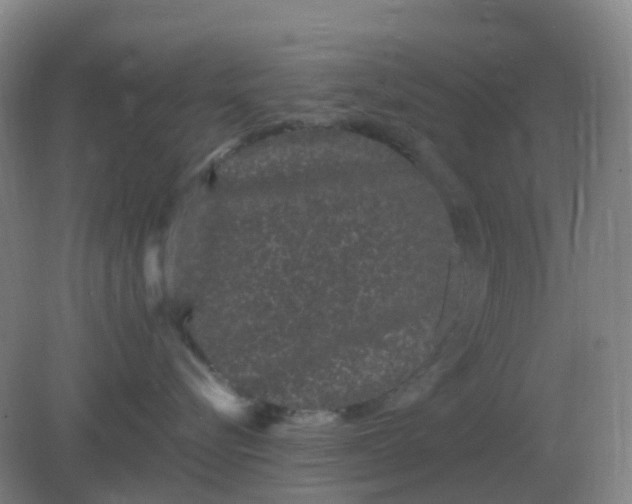 X0000082200576200702021847