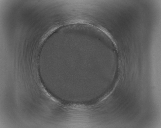 X0000082200577200702021846