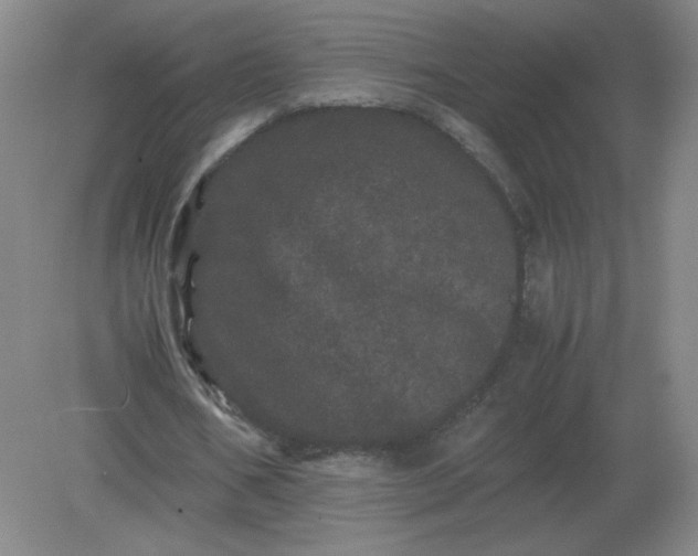 X0000082200578200702021846