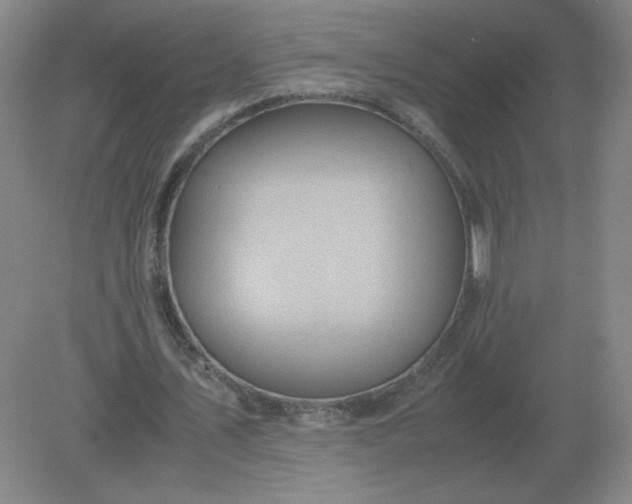 X0000082200579200702021846