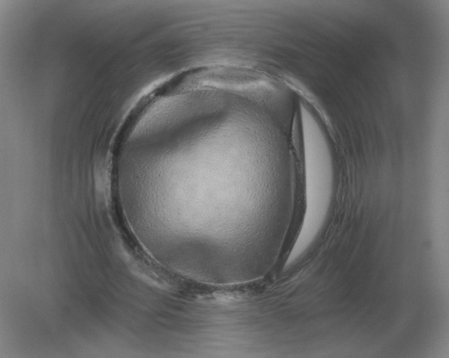 X0000082200580200702021846