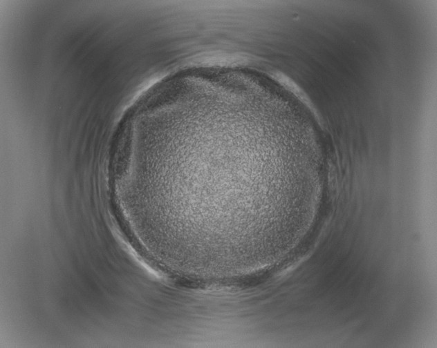 X0000082200581200702021846