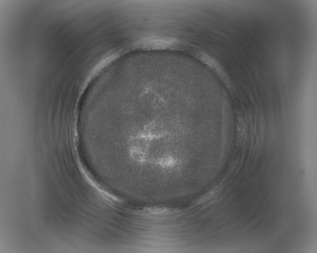 X0000082200582200702021846