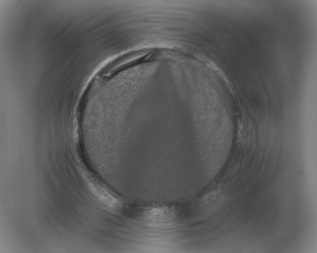 X0000082200584200702021846