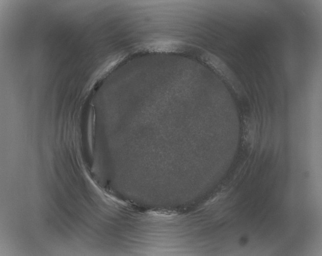 X0000082200586200702021846