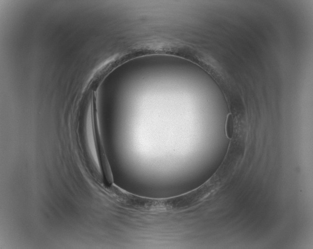 X0000082200587200702021846