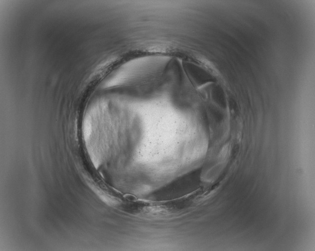 X0000082200589200702021846