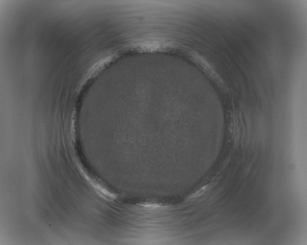 X0000082200590200702021846